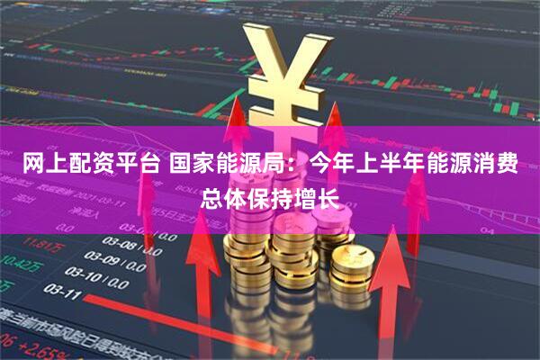 网上配资平台 国家能源局：今年上半年能源消费总体保持增长